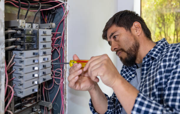 Best Electric Panel Repair  in Suitland, MD